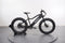 Pedego Trail Tracker
