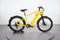 Velotric Discover 1