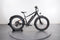 Rad Power Bikes RadRover 6 Plus