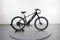 Lectric XPress 750