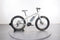 Raleigh Magnus iE