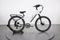 Lectric XPress 750