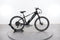 Lectric XPress 750