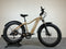 Aventon Aventure 1