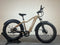 Aventon Aventure 1