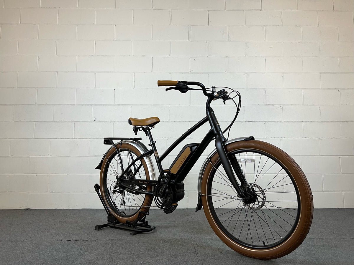 2020 raleigh retroglide royale hot sale 2.0