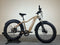 Aventon Aventure 1