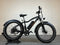 Rad Power Bikes RadRover 5