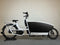 Urban Arrow Family Dual Battery