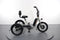 Rad Power Bikes RadTrike