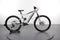 Bulls Copperhead EVO AM 3 750
