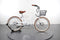 Electric Bike Model Y
