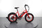 Pedego Element