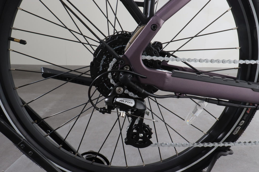 Aventon Level 3 #8 details