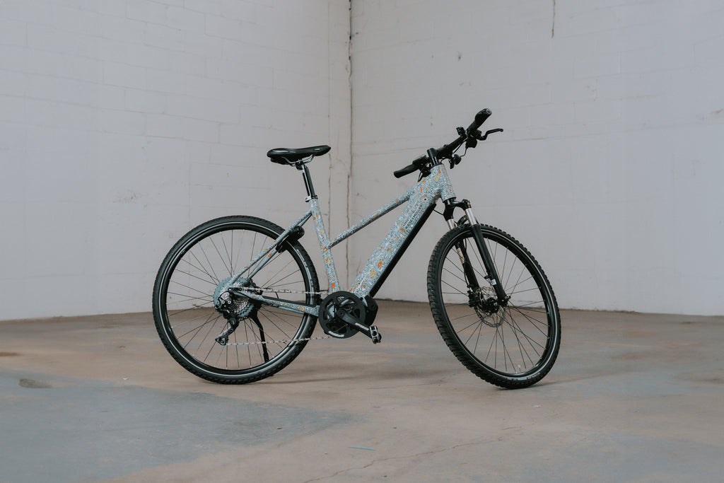Riese & Müller Roadster Mixte Touring by Katie Merz